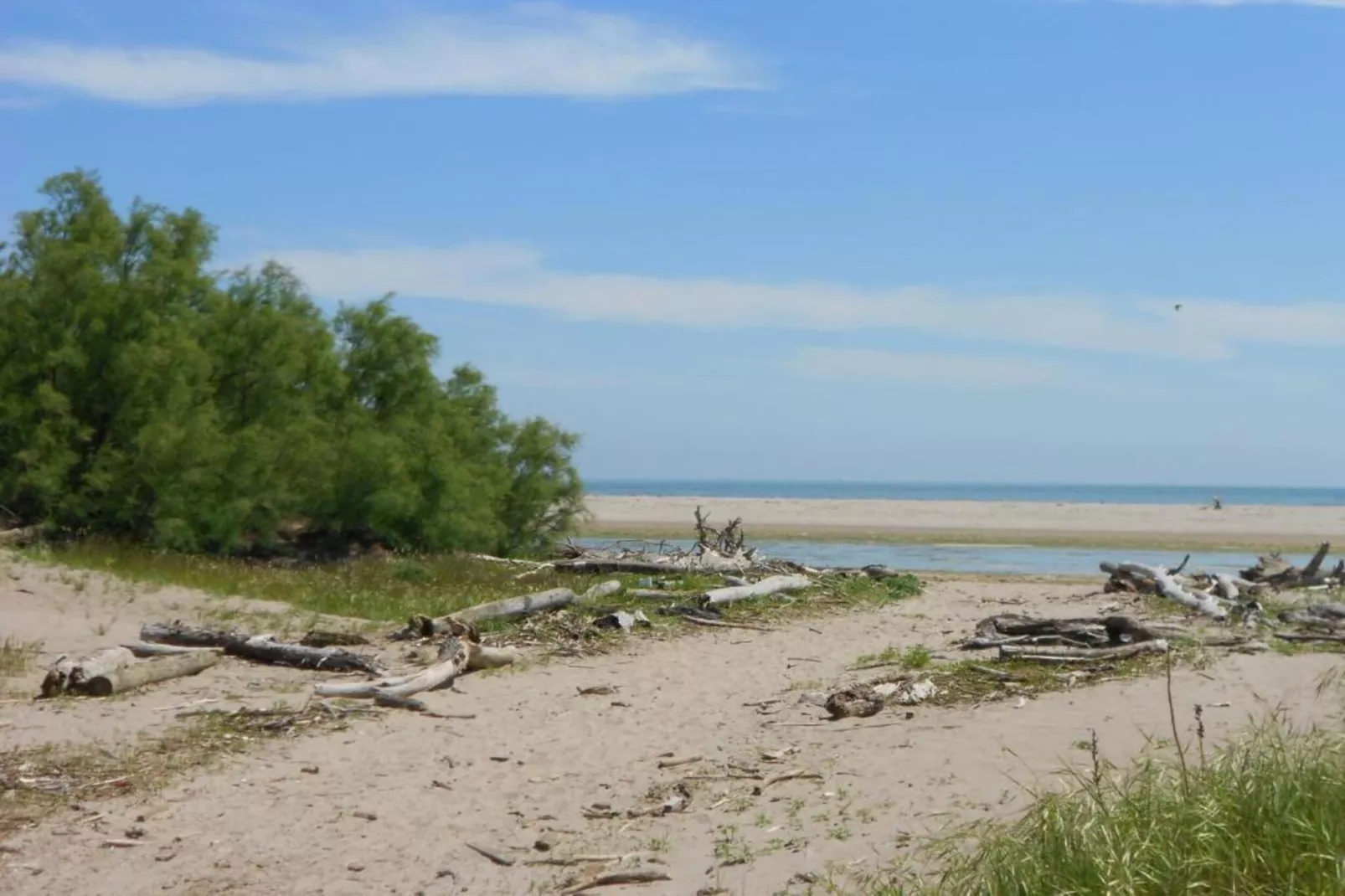 Ceseta 3-Gebieden zomer 1km