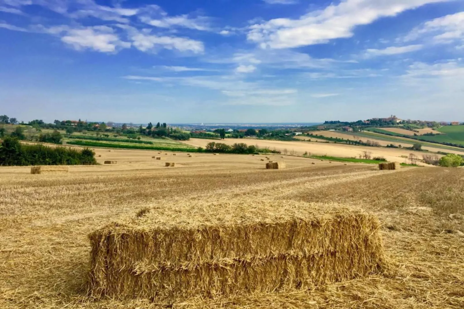 Fratello Campo-Gebieden zomer 5km