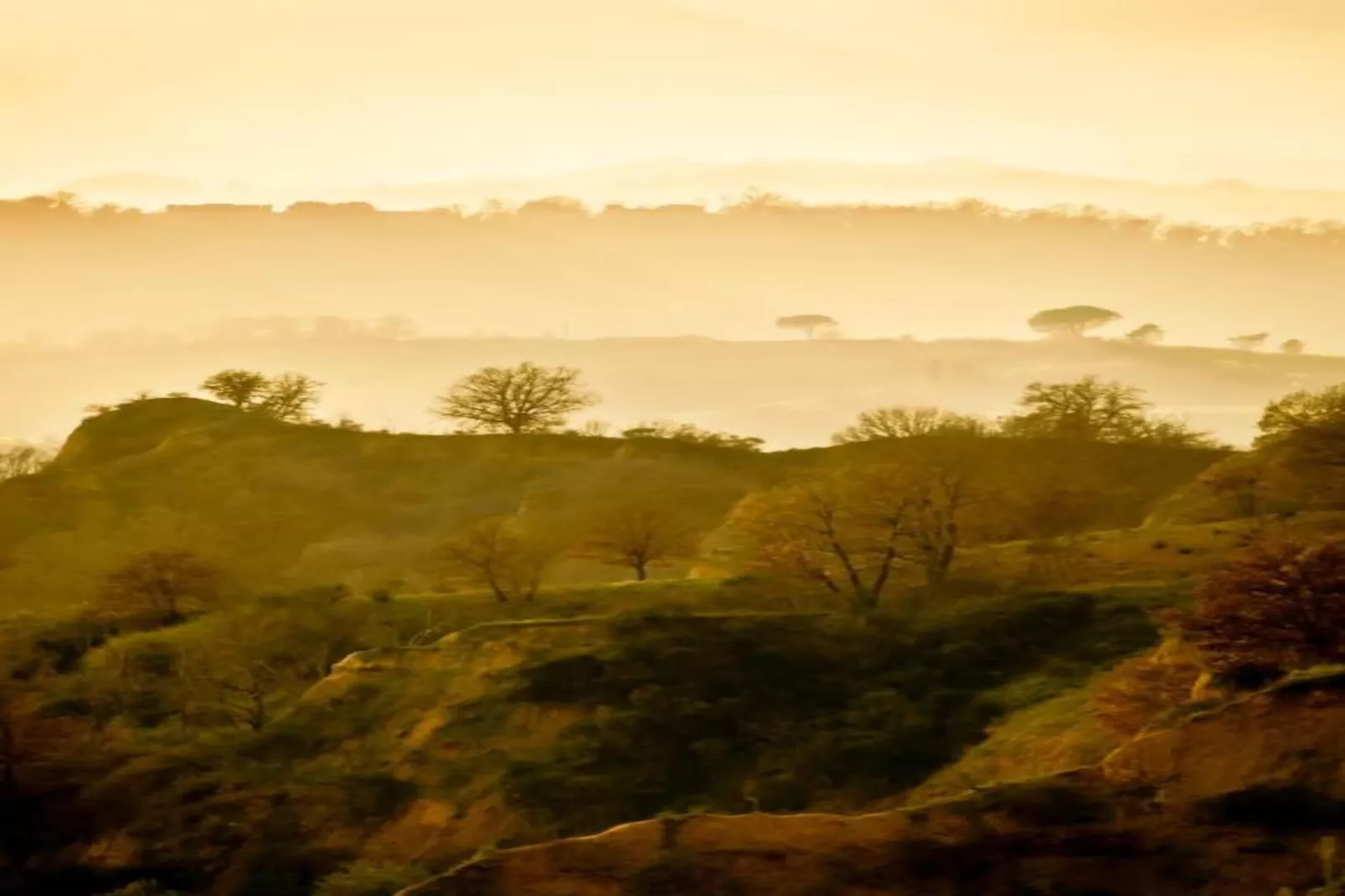 Podere Pulicciano Orciaia-Gebieden zomer 5km