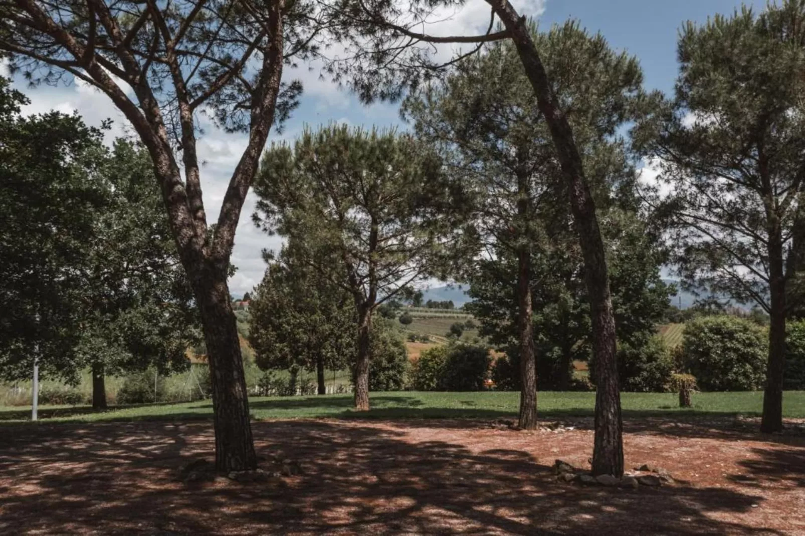 Castagno del Riccio-Gebieden zomer 5km