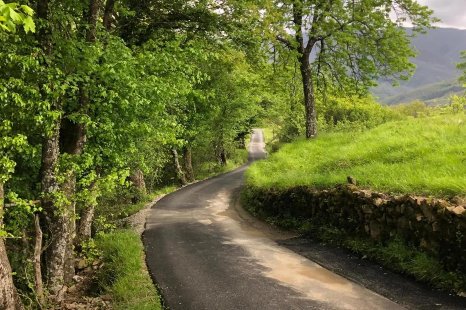 Gelsomino Piccolo-Gebieden zomer 5km