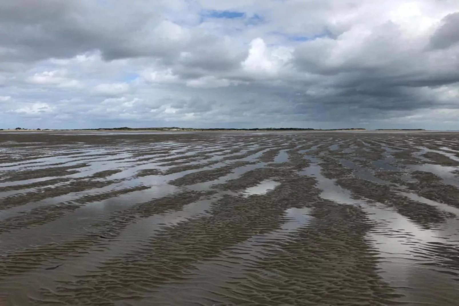 Duindroom op Terschelling-Gebieden zomer 20km