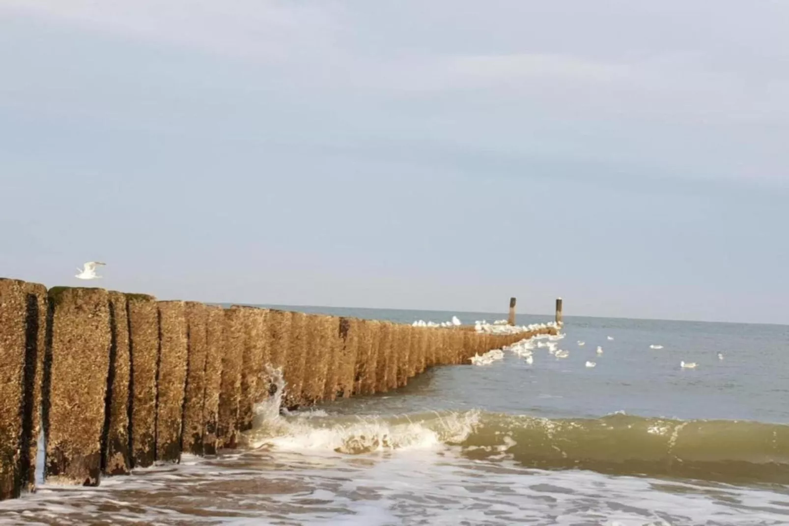 Ocean Dreams Oostkapelle Zeeland M55-Gebieden zomer 20km