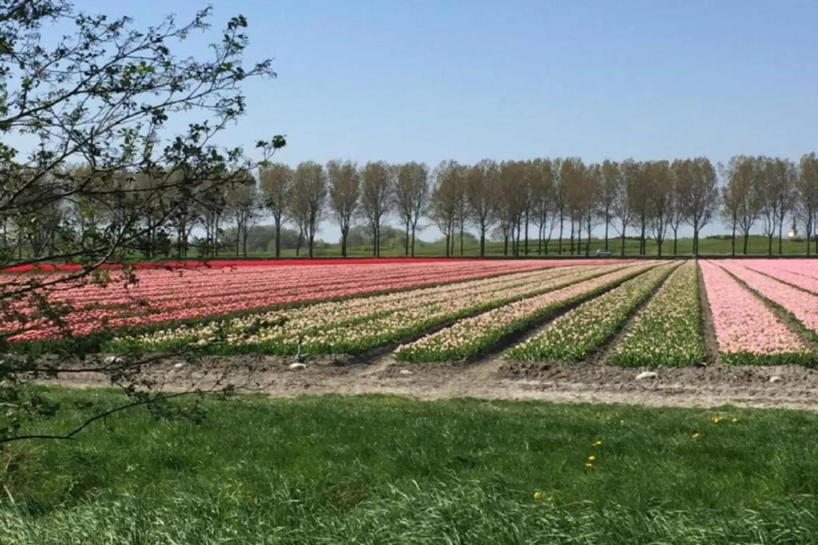 Another Day in Paradise-Gebieden zomer 5km