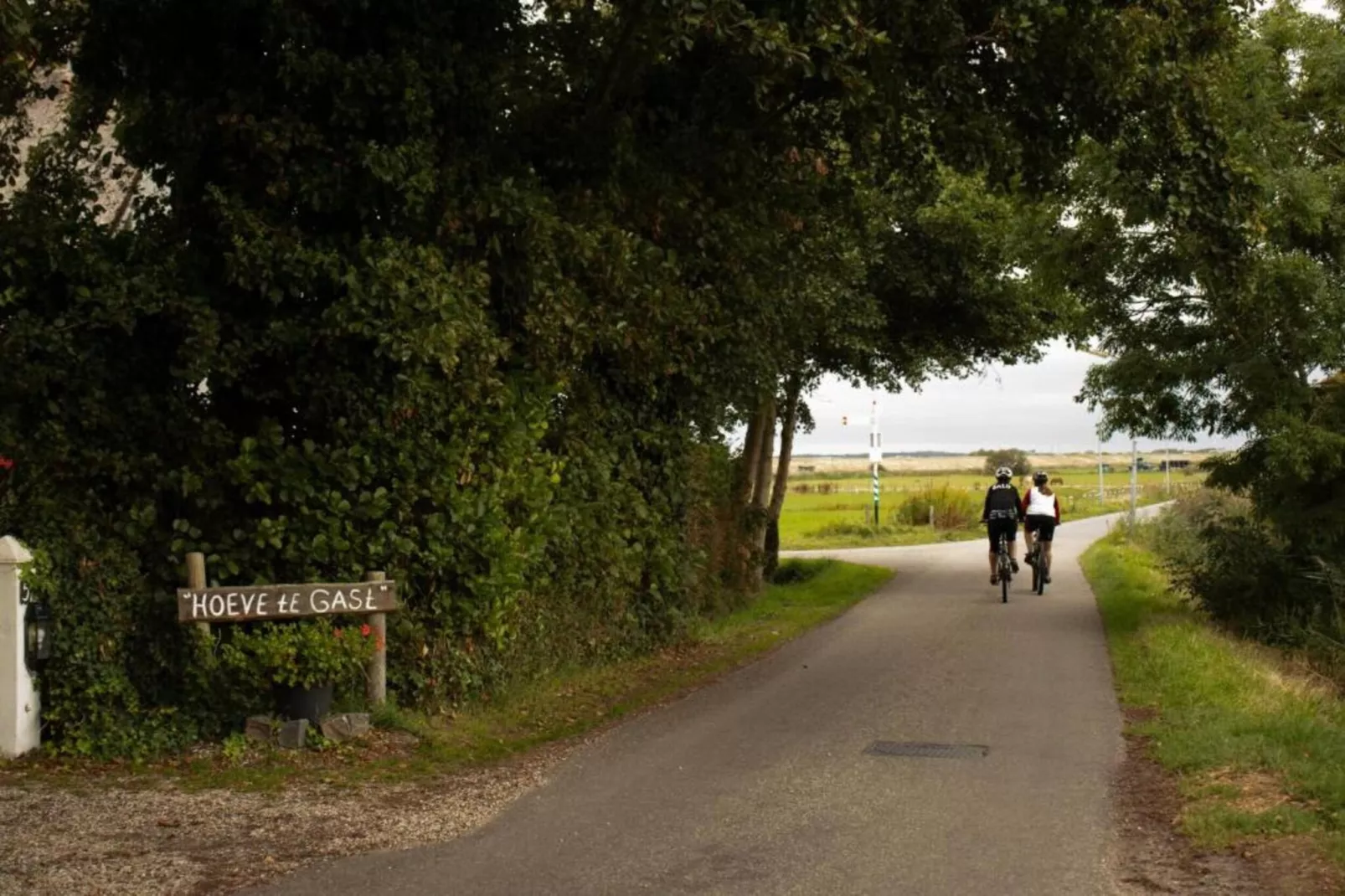 DE PETTEN-Gebieden zomer 20km