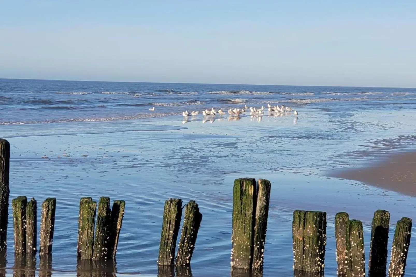 Huize Glory Robijn-Gebieden zomer 20km