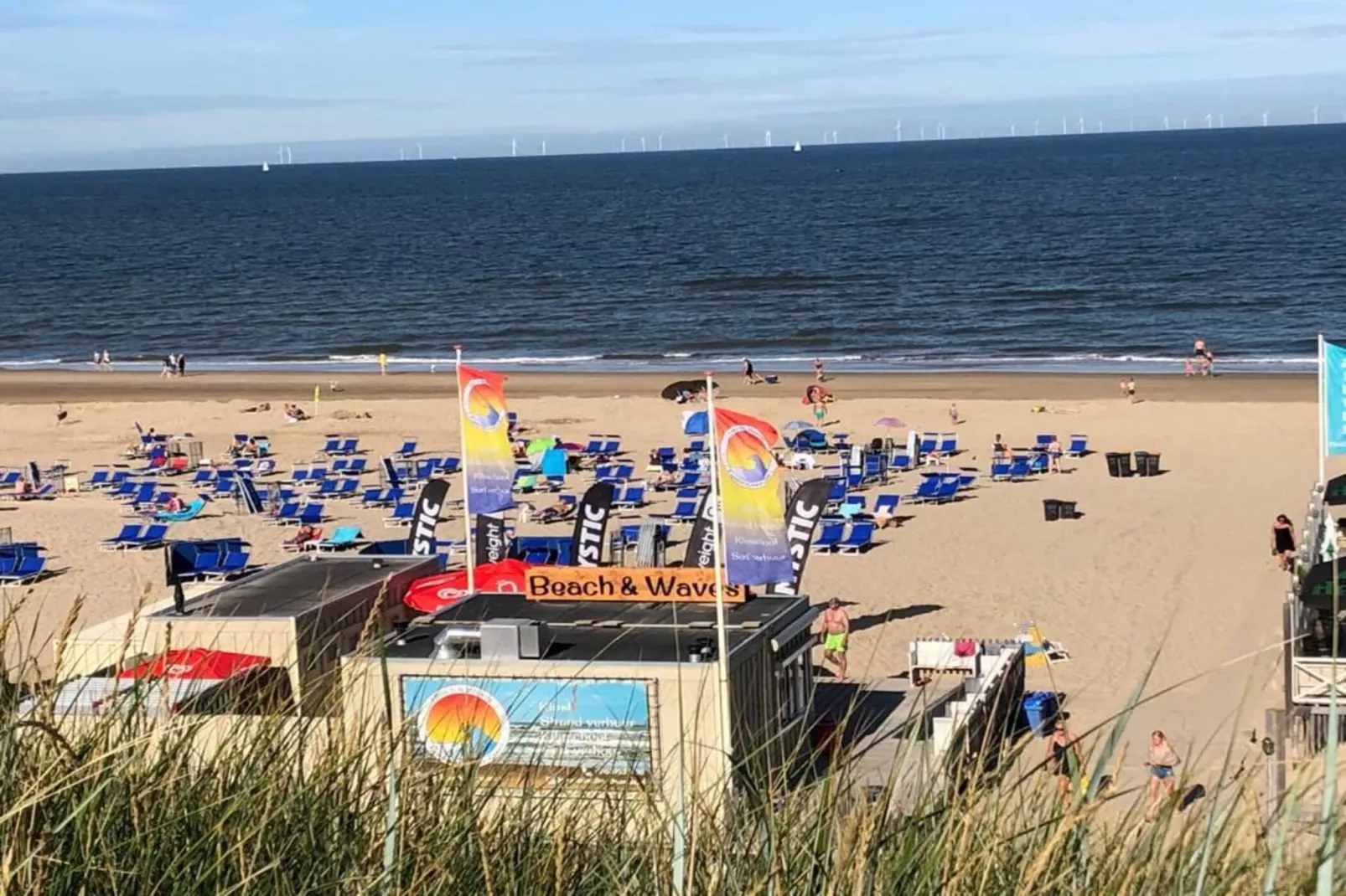 Vitamine Zee-Gebieden zomer 1km