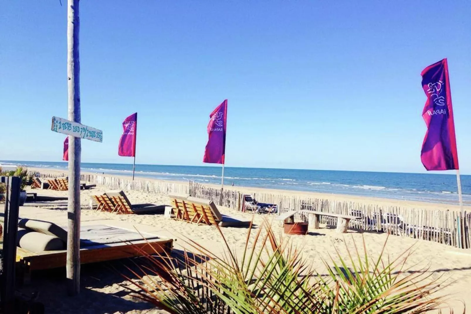 Sea Lodges Zandvoort 6-Gebieden zomer 20km