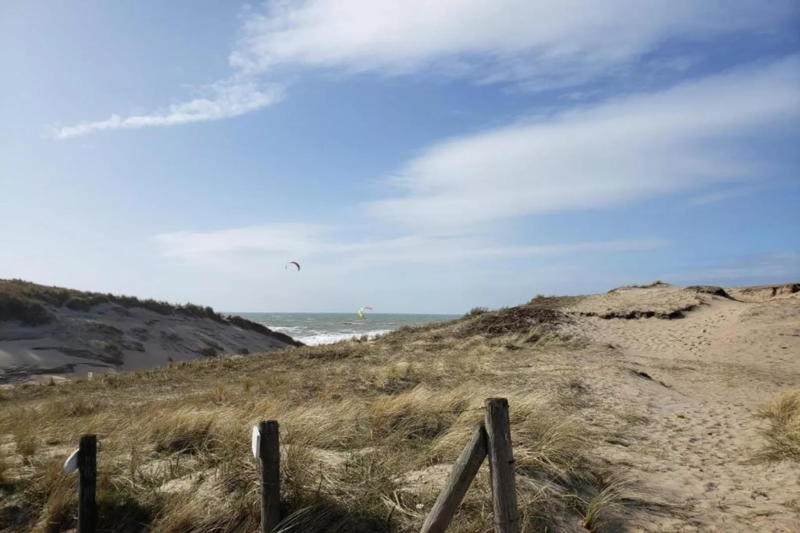 Bos-Lodge-Gebieden zomer 20km