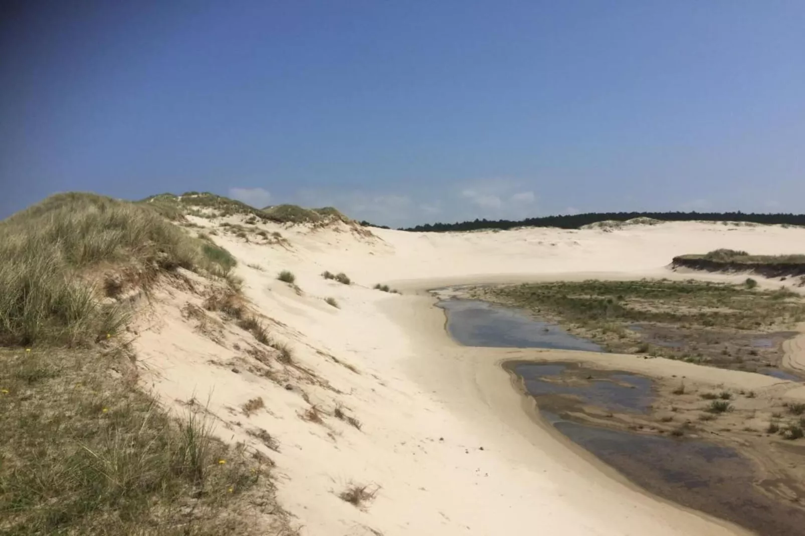 De Schone Leij-Gebieden zomer 20km