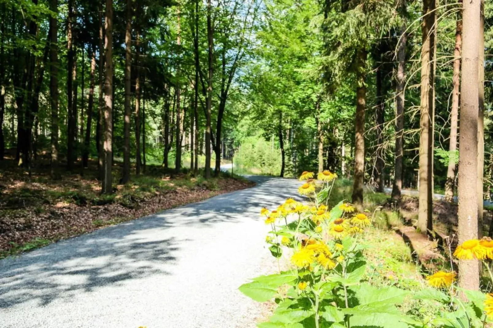 Vakantiepark de Tabaksschuur 2-Gebieden zomer 20km