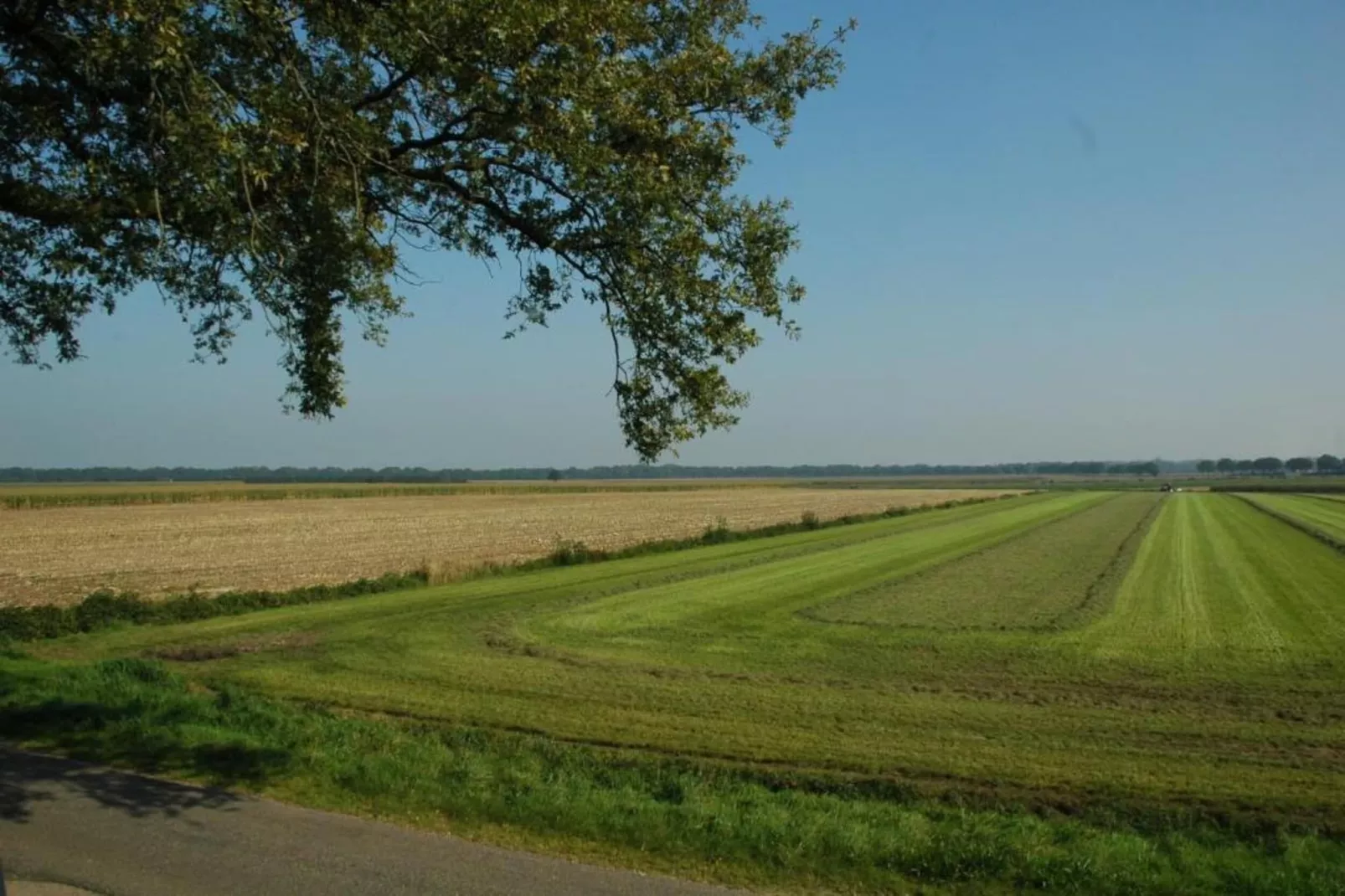 Ruischende Dennen-Gebieden zomer 20km