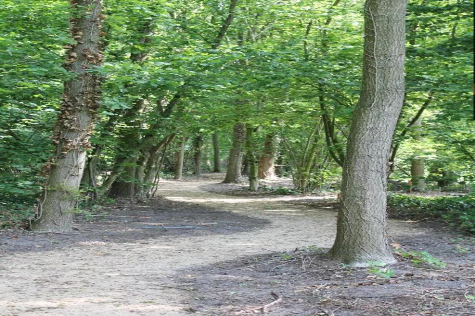 Parc de Kievit 1 - Gebieden zomer 20km