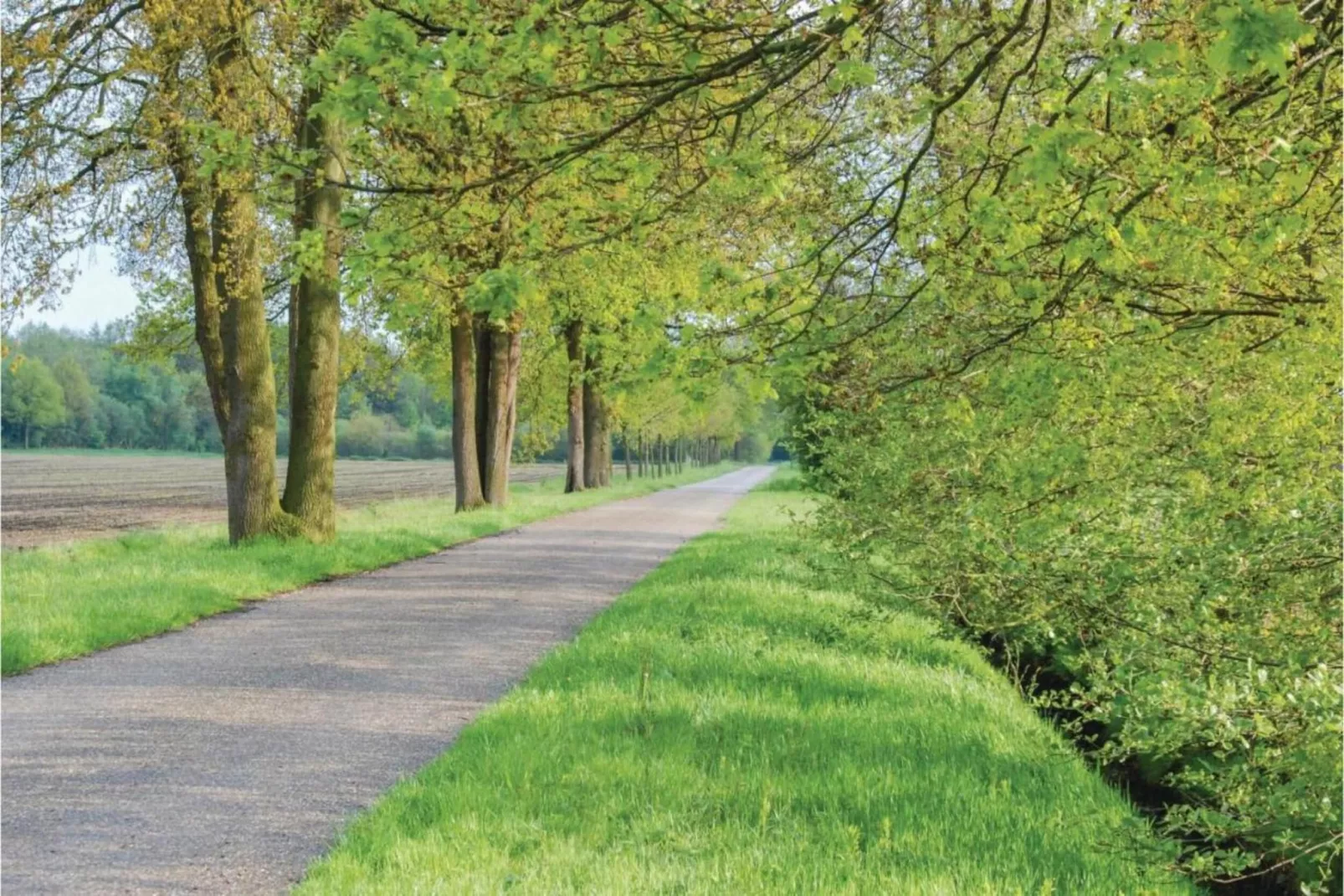 Dorpswoning In het Bos-Gebieden zomer 5km