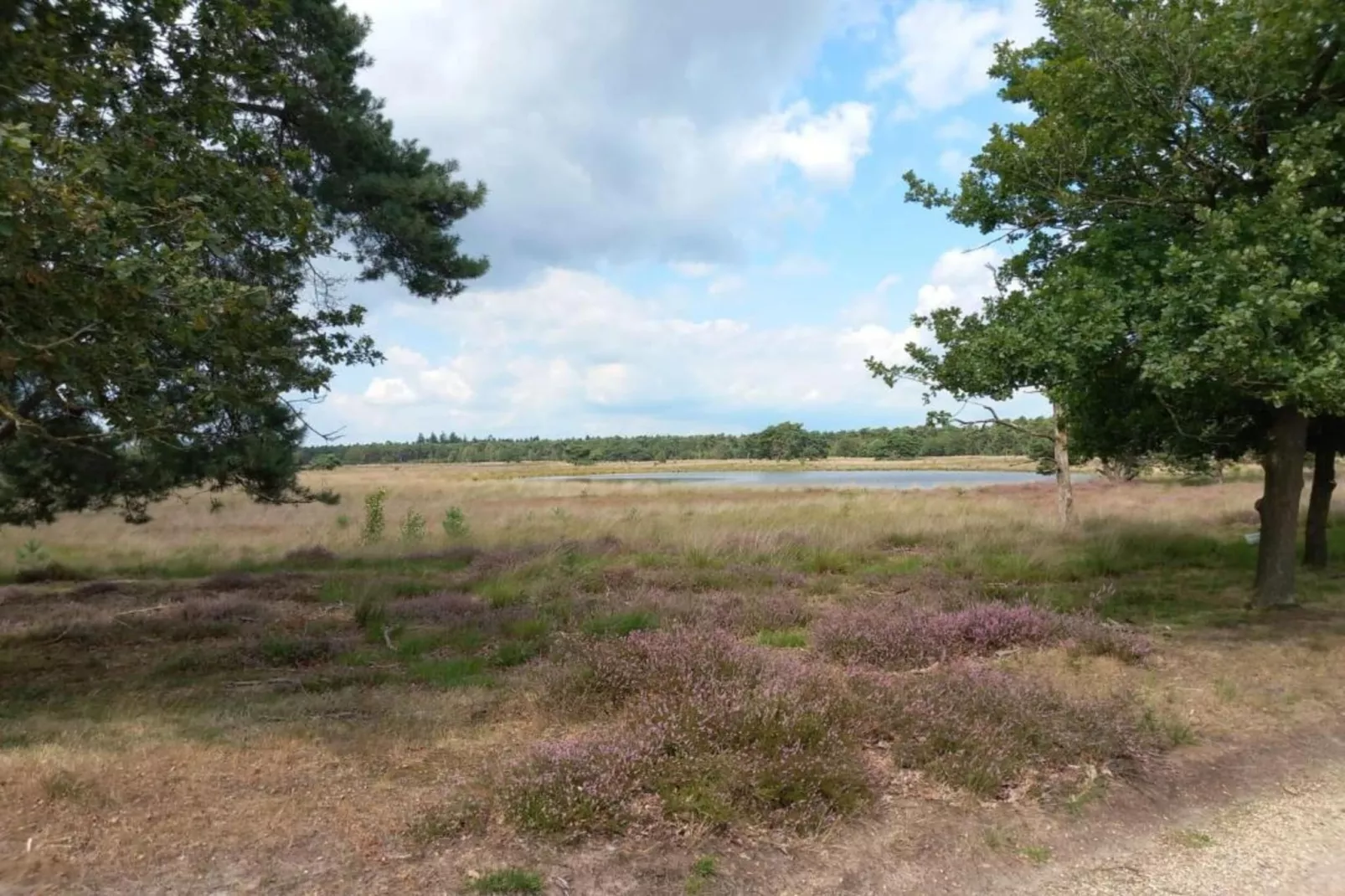 Park De Peel 2-Gebieden zomer 20km