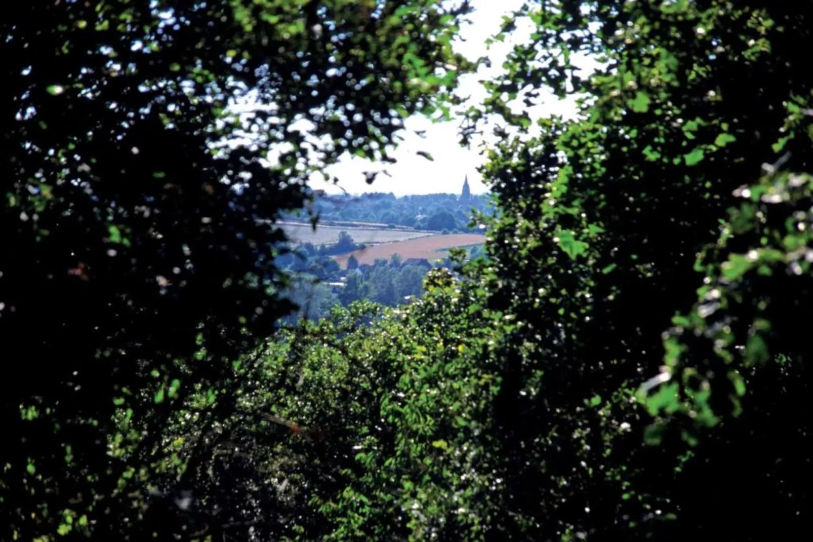 Resort Arcen 13-Gebieden zomer 20km
