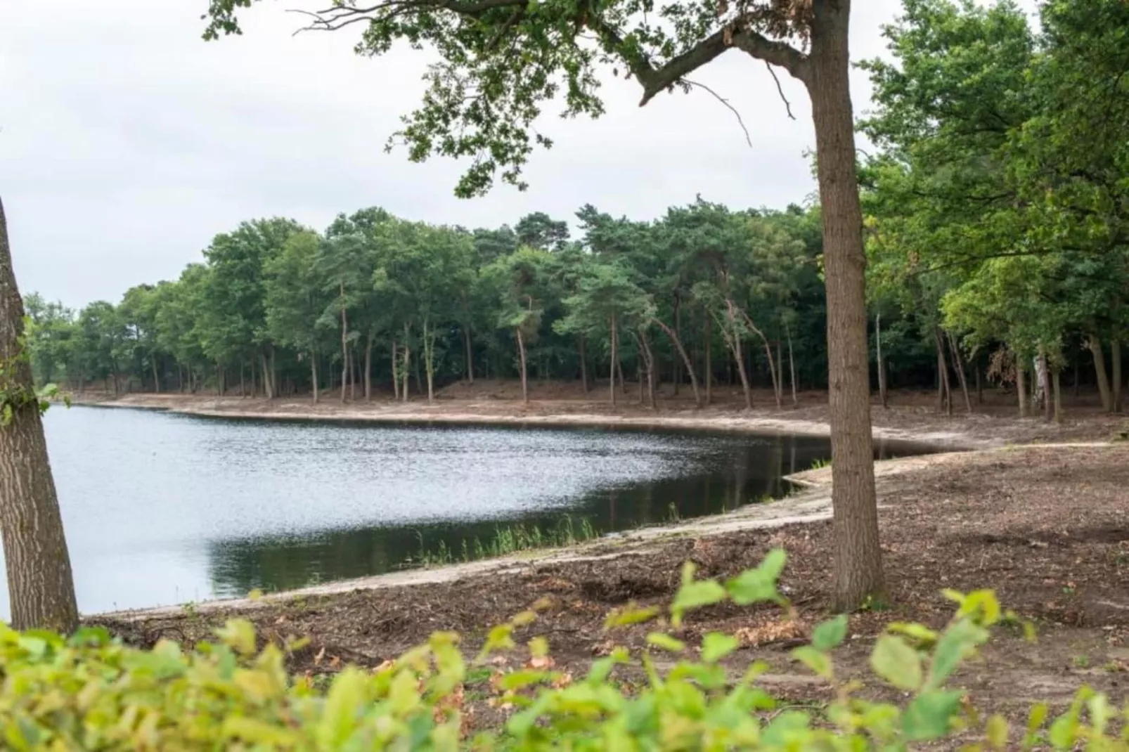 Maaspark Boschmolenplas - Vennenblik-Gebieden zomer 20km
