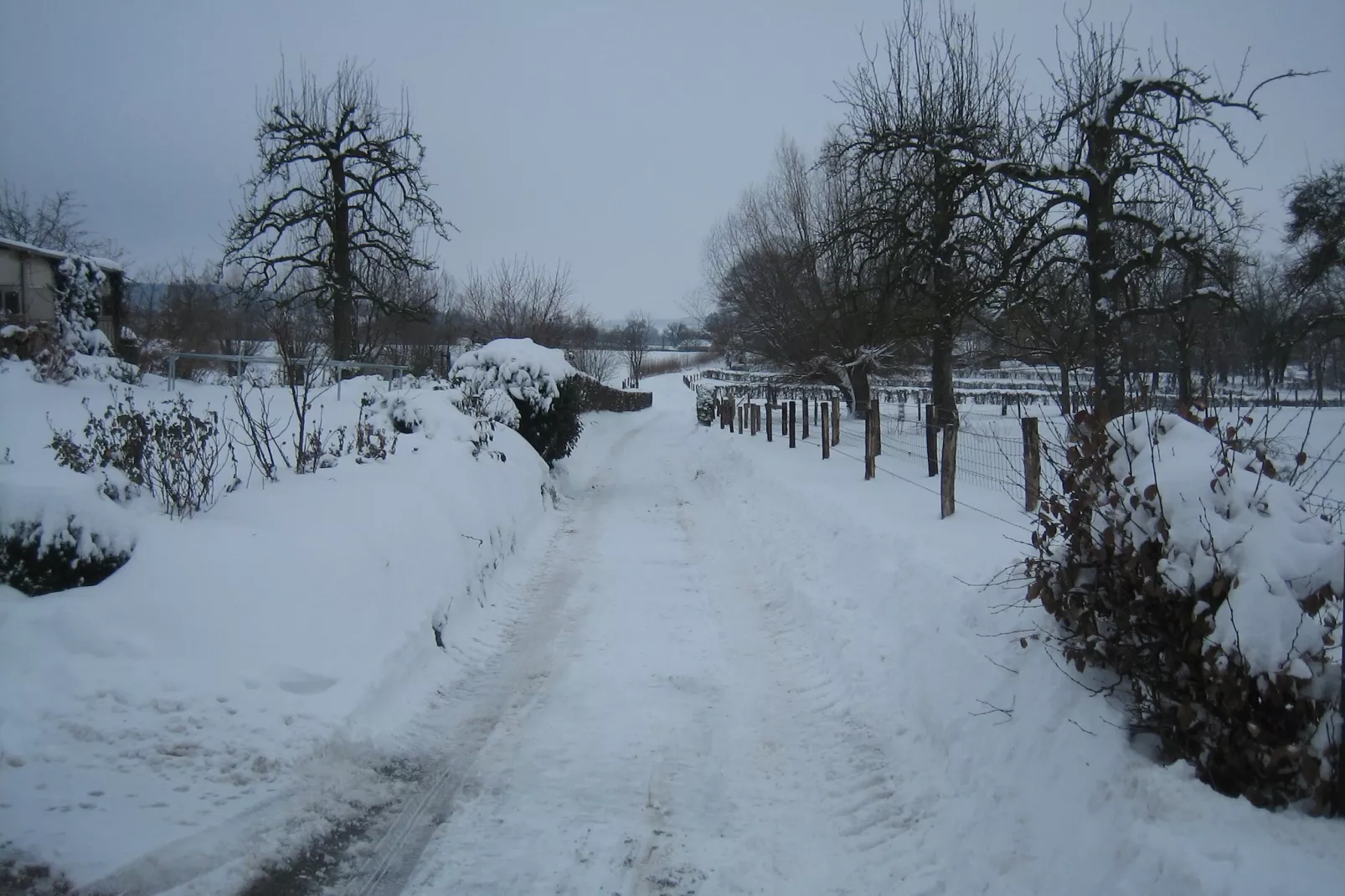 I gen Roemel-Gebied winter 1km
