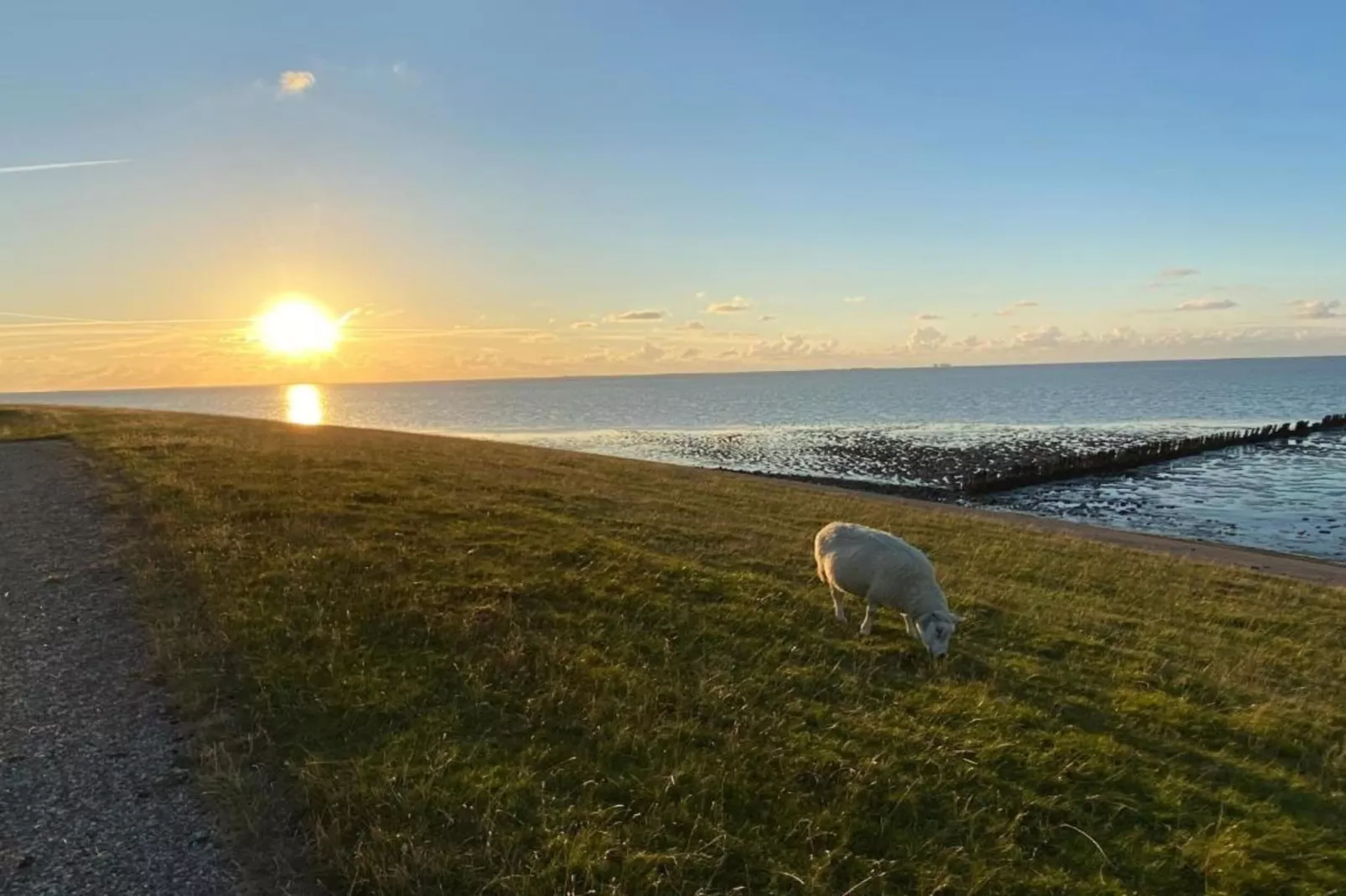 Landhuis Wad Anders-Gebieden zomer 20km