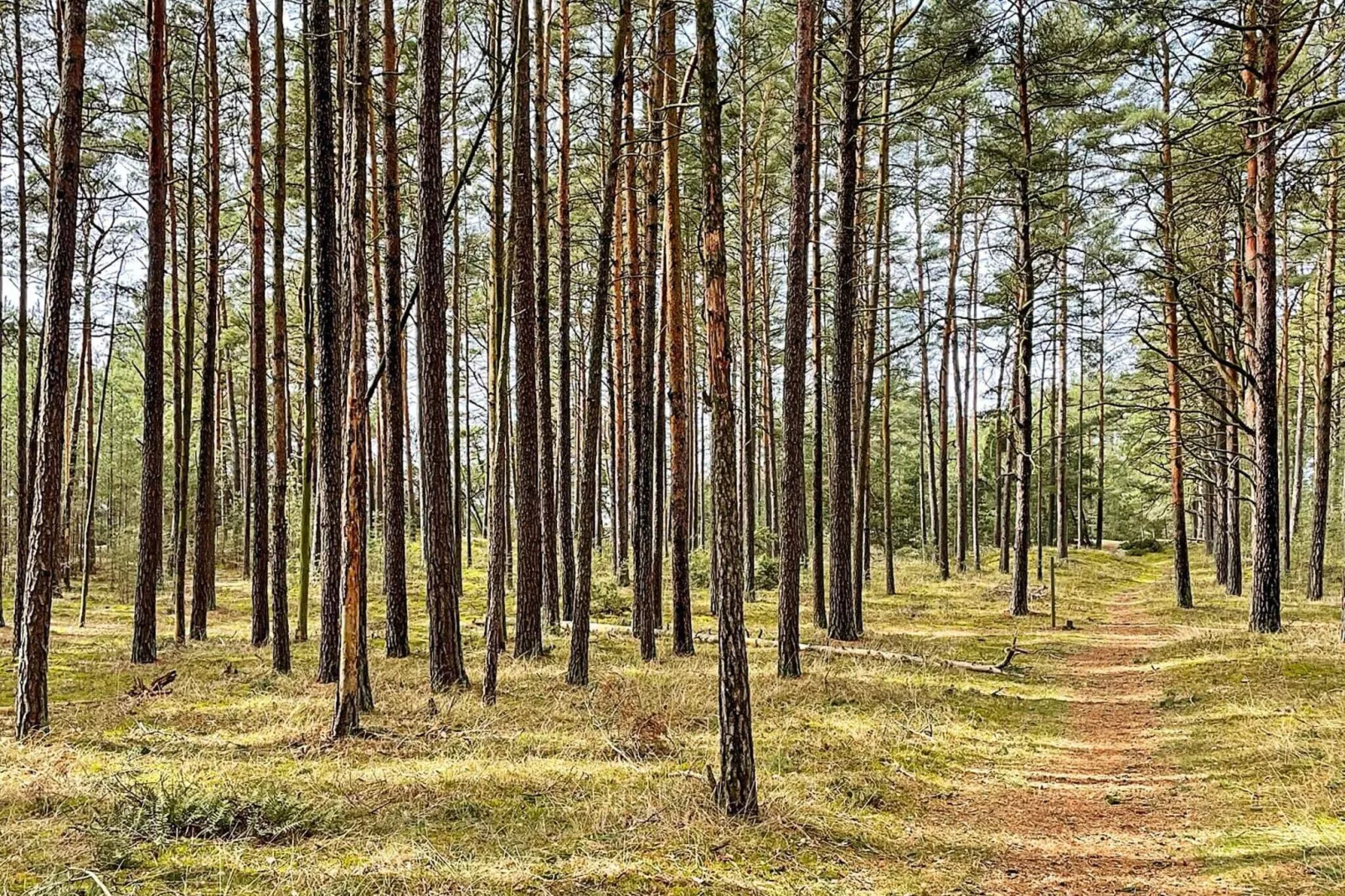 5 persoons vakantie huis in Brösarp-By Traum-Niet-getagd