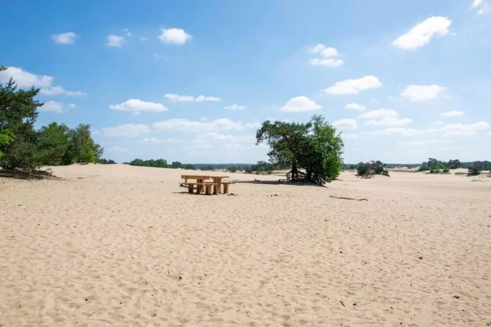 Bungalowpark Hoenderloo 1-Gebieden zomer 20km