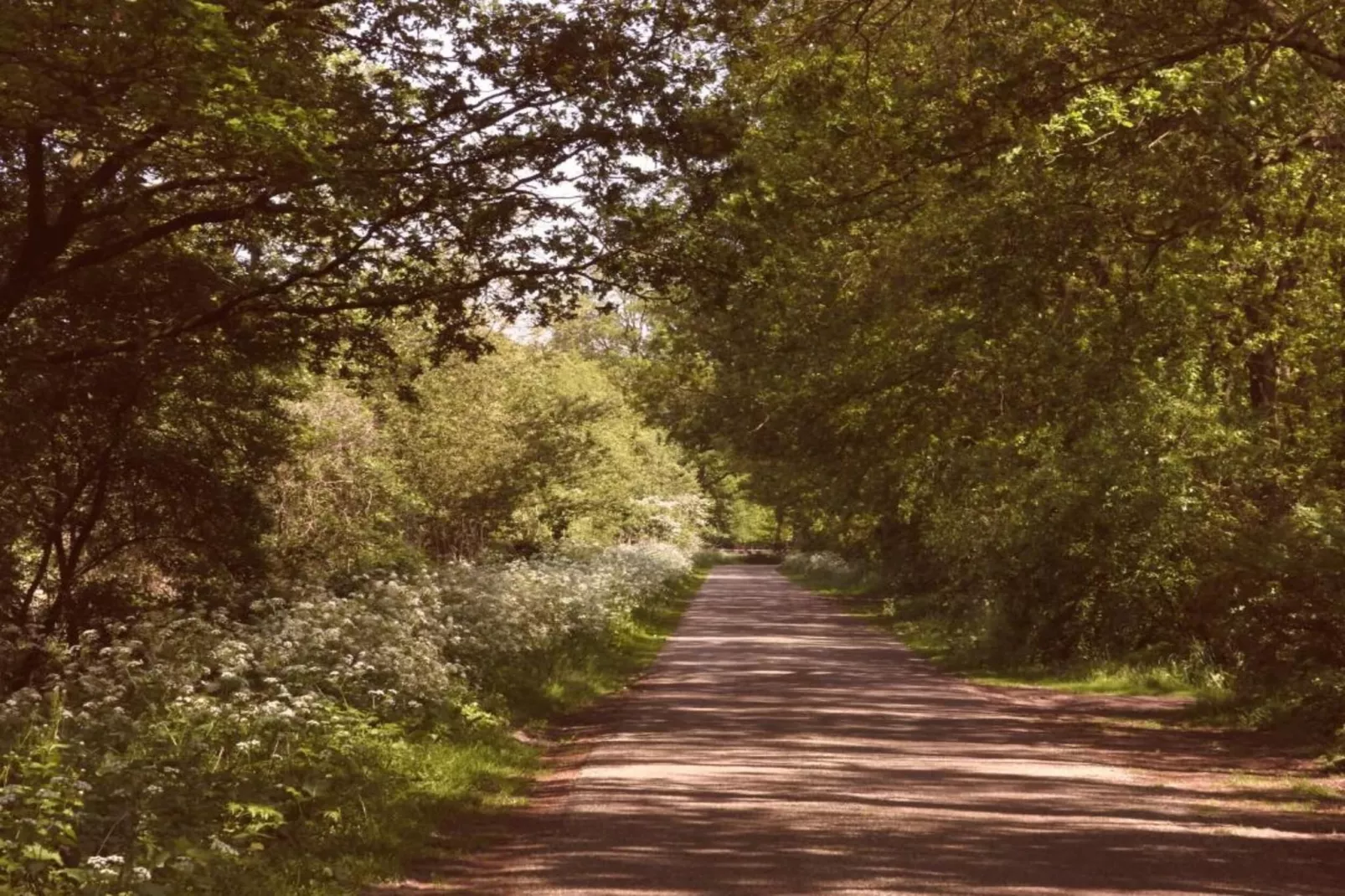 Vakantiecentrum 't Schuttenbelt 4-Gebieden zomer 20km