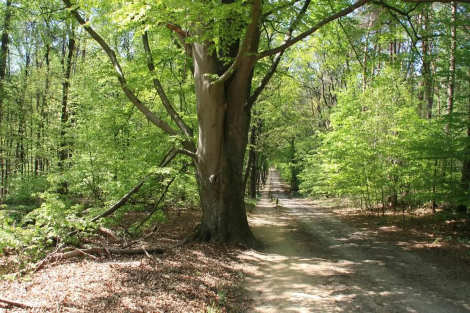 Chaletpark Kuiperberg 1-Gebieden zomer 5km