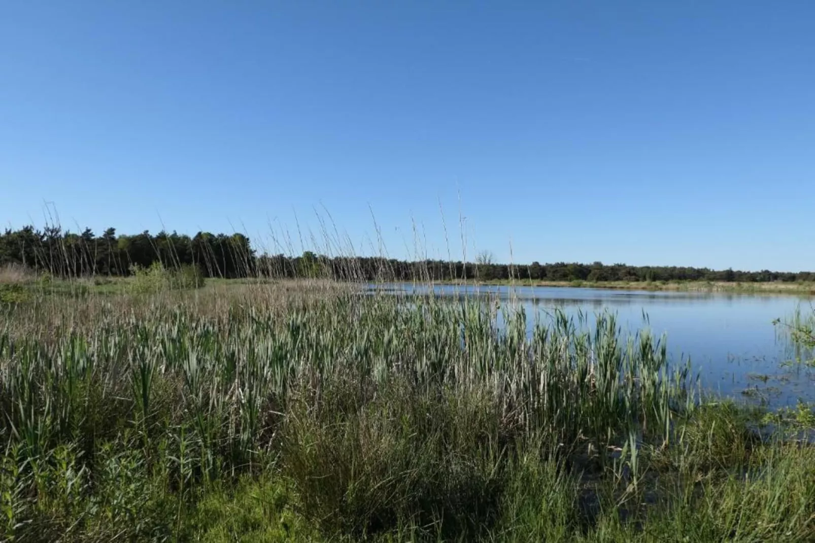 Recreatiepark Tolplas 11-Gebieden zomer 5km