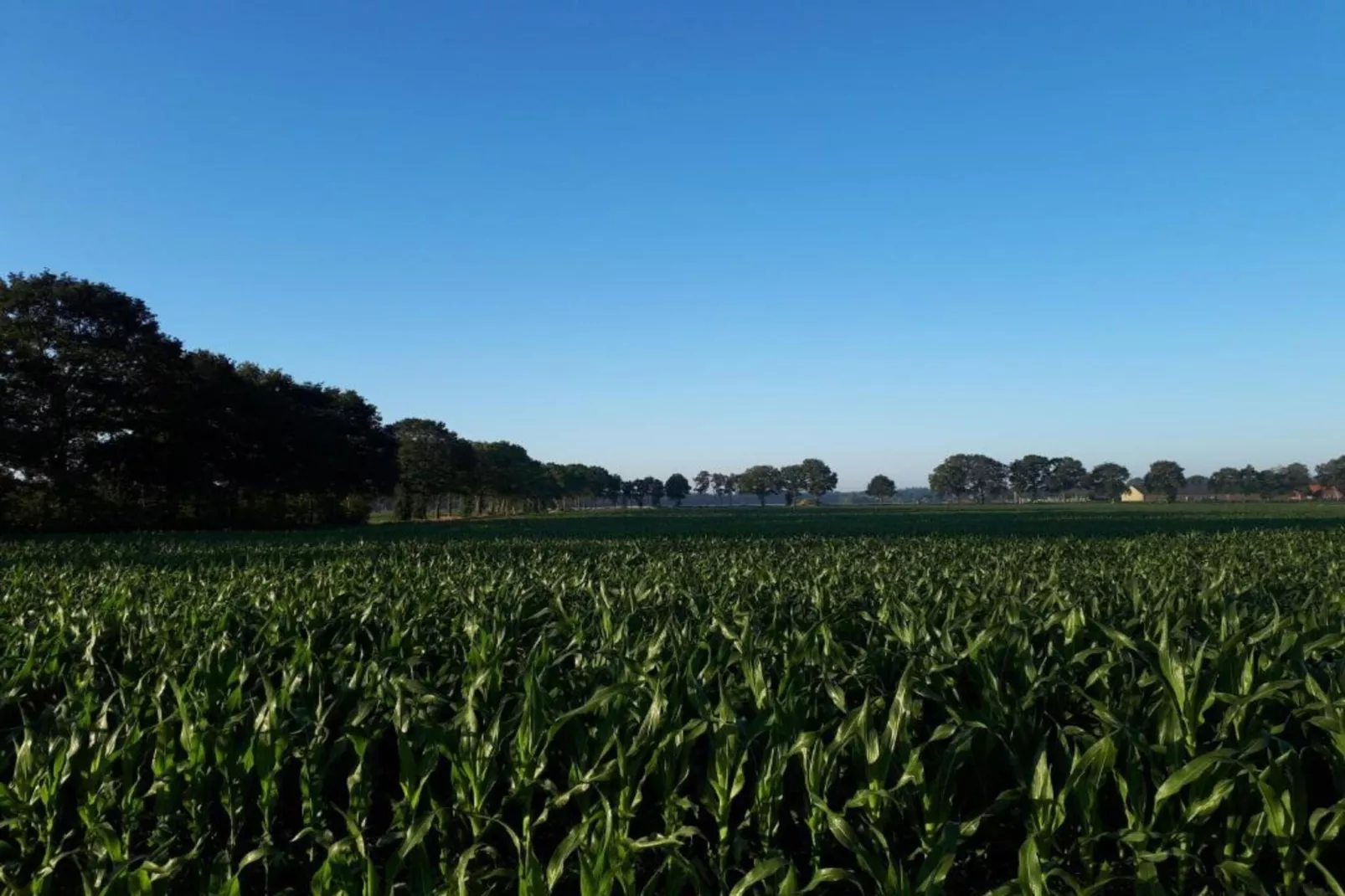 Buitenplaats Gerner 5-Gebieden zomer 20km
