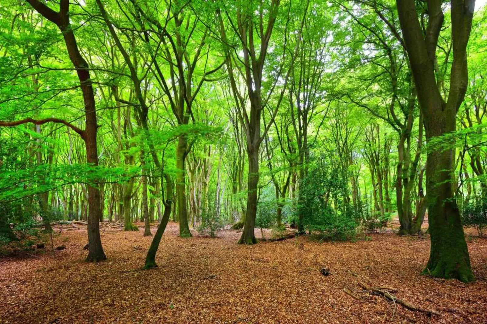 RCN de Jagerstee 3-Gebieden zomer 20km