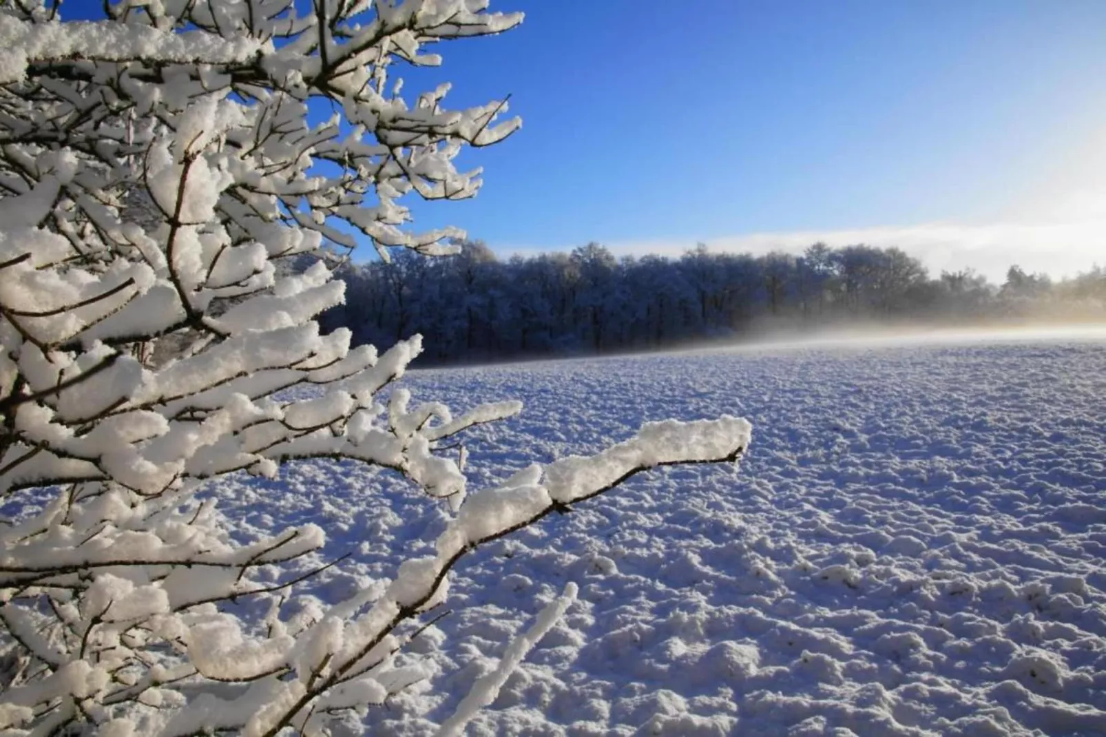 Residence De Eese 22-Gebied winter 20km