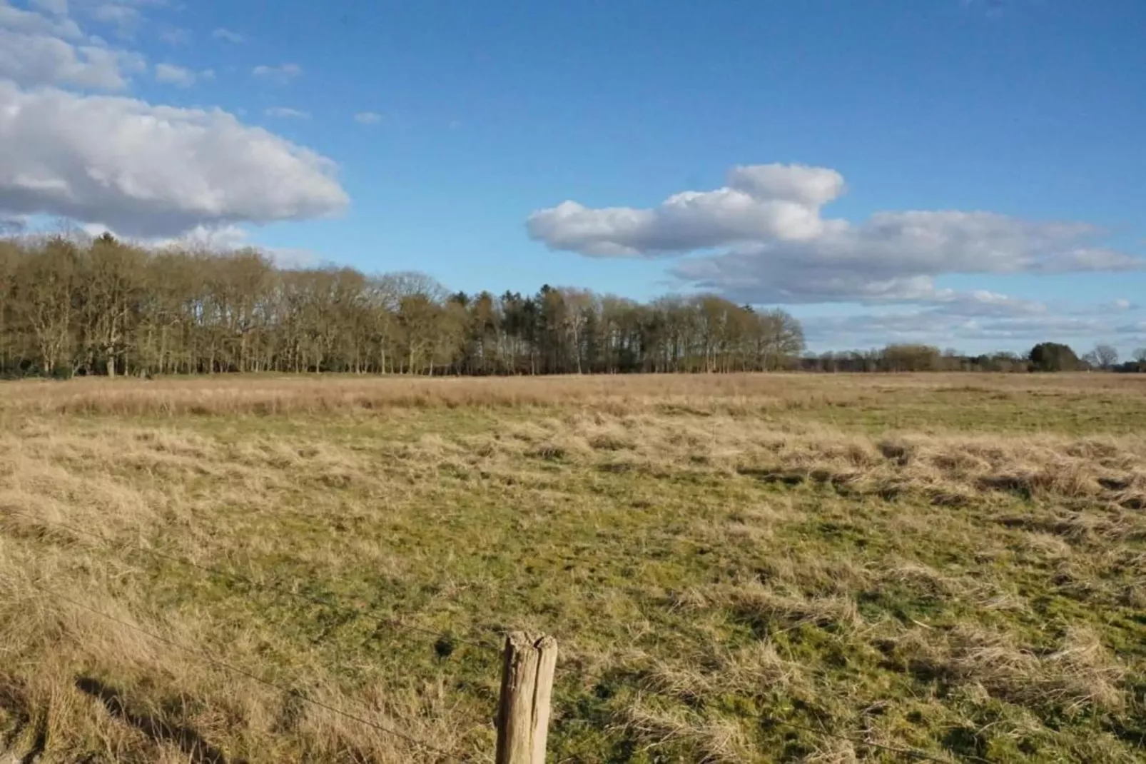 Chalet in Vledder-Gebieden zomer 20km