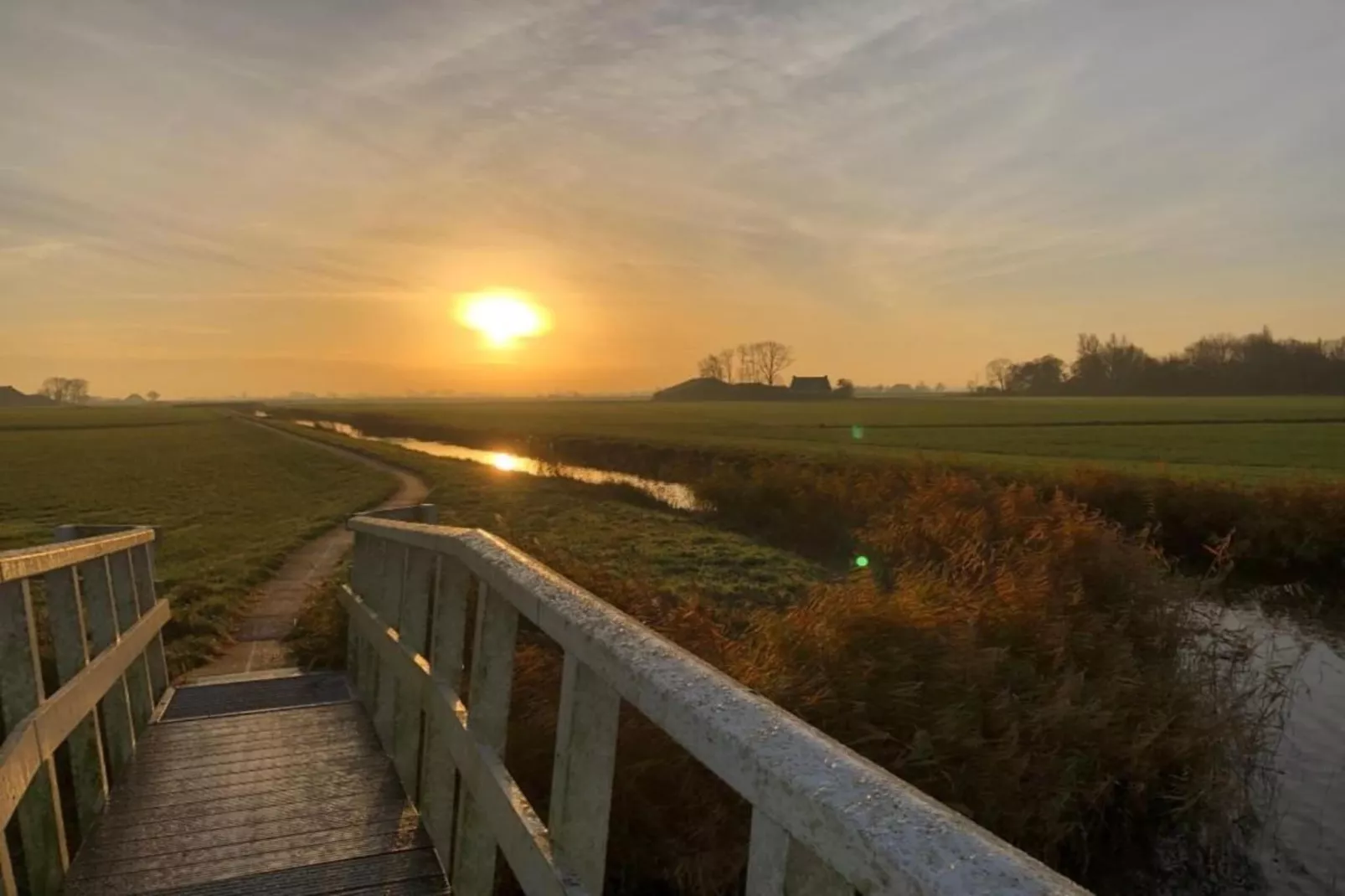 Pronkkeamer Skrins-Gebieden zomer 5km