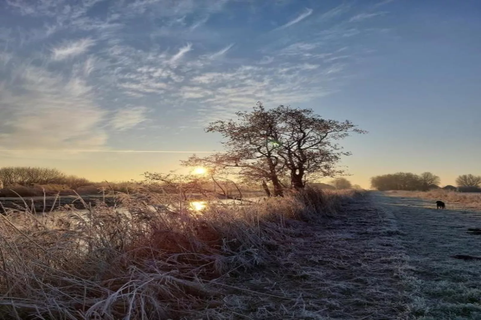 Chalet Klaske-Gebieden zomer 20km