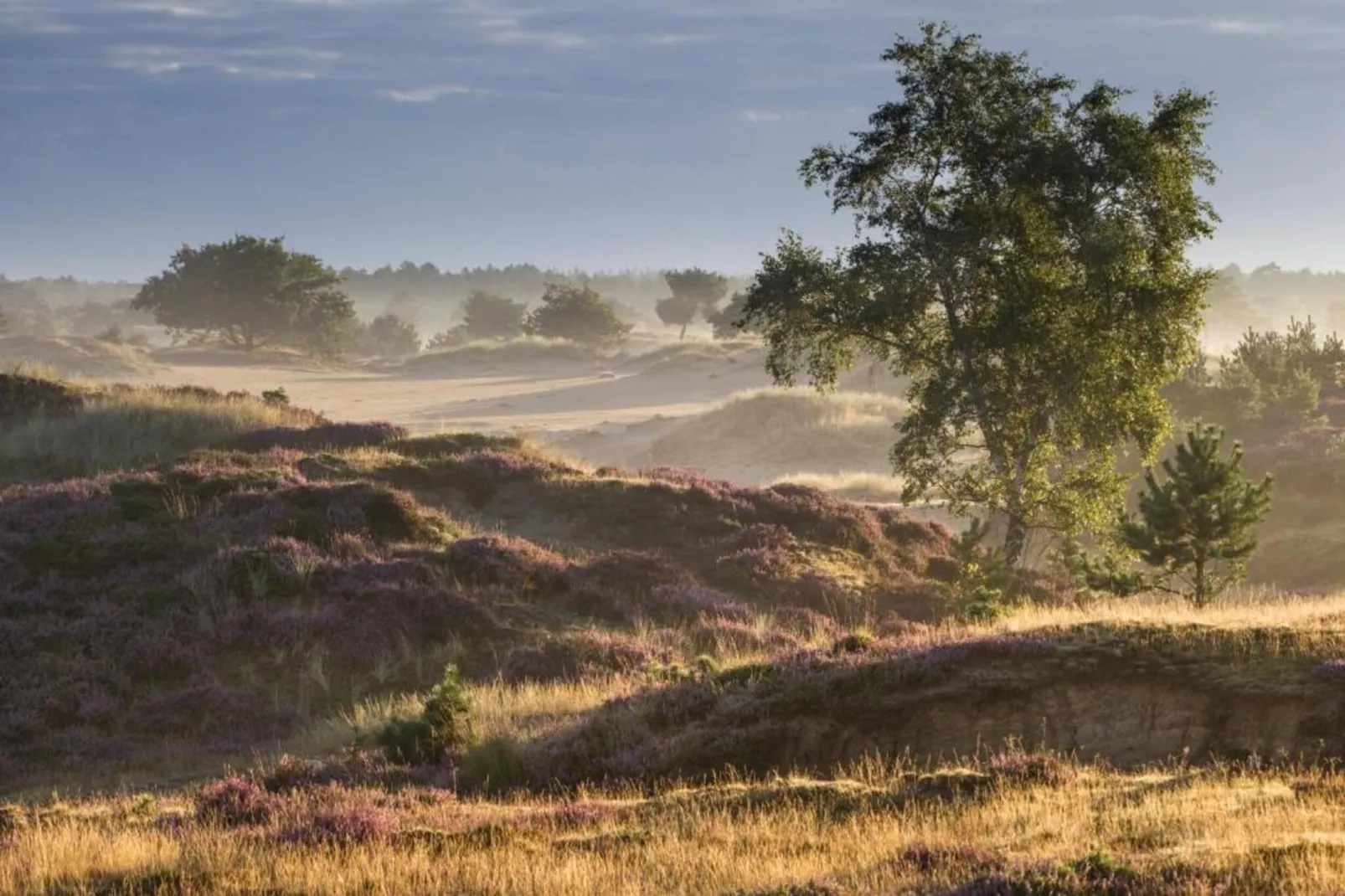 Bospark Lunsbergen 7-Gebieden zomer 20km