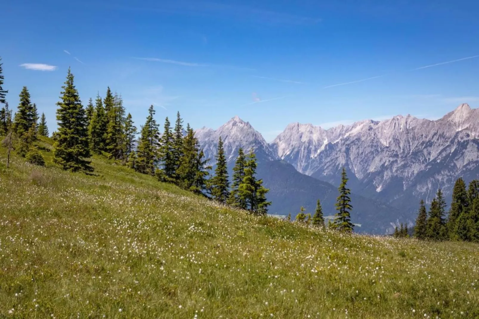 Thaler Hütte - Platzhirsch-Gebieden zomer 20km