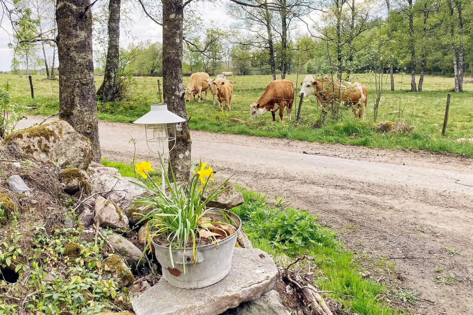 8 persoons vakantie huis in Hestra-By Traum-Niet-getagd