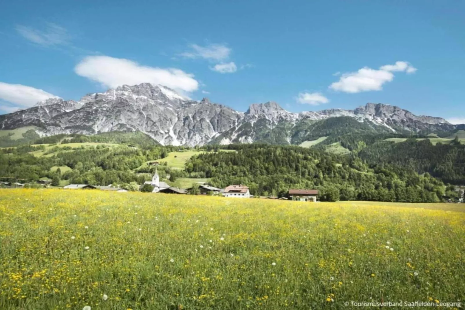 JUCHE FEWO - BLAUER SEE - Haus grün-Gebieden zomer 20km