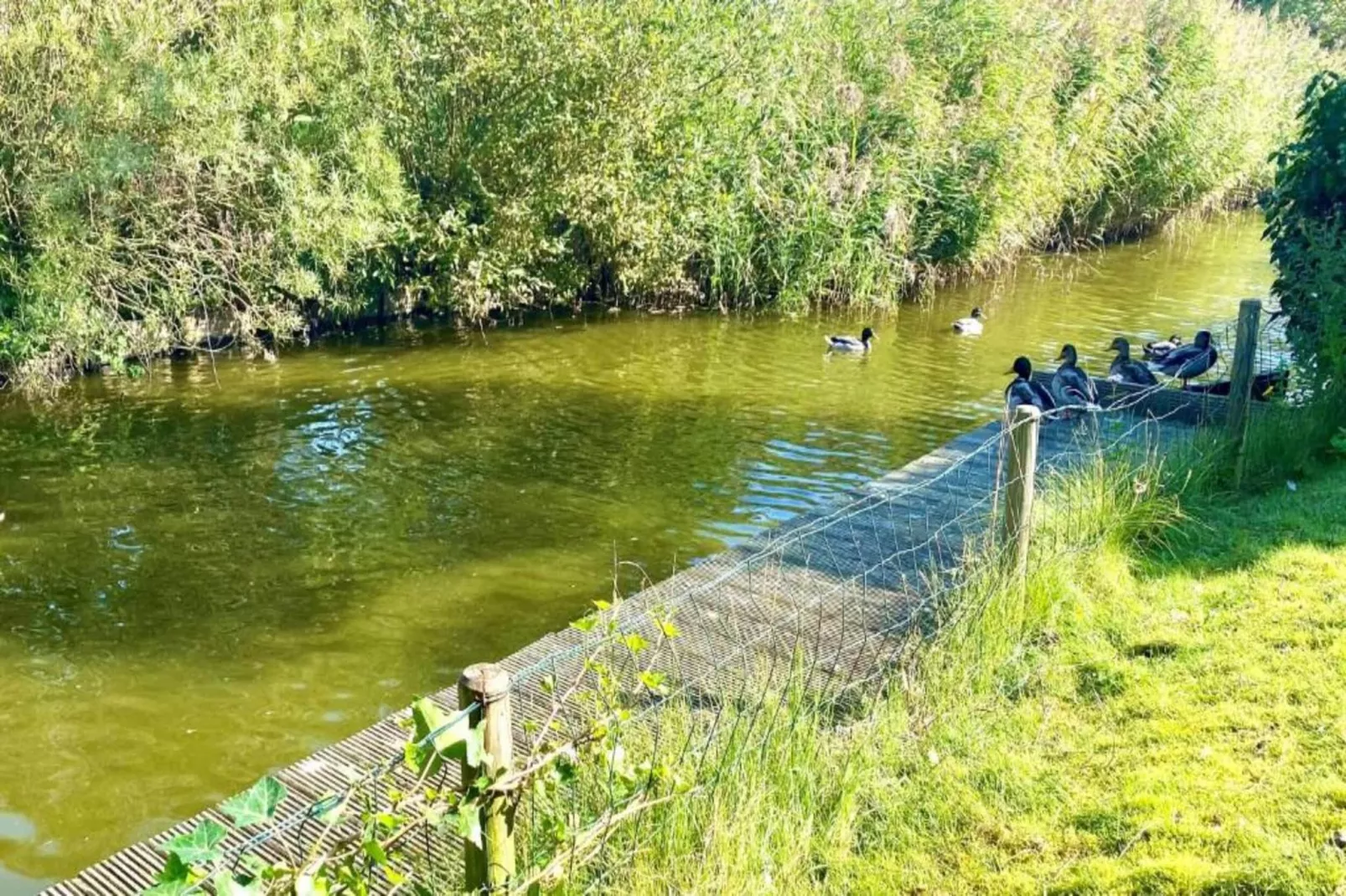 Vakantiepark Zeebad 13-Gebieden zomer 5km