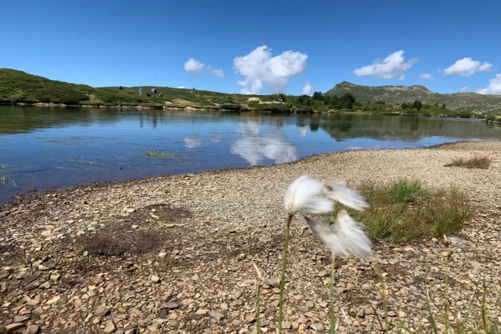 Les Epinettes 4-Gebieden zomer 20km