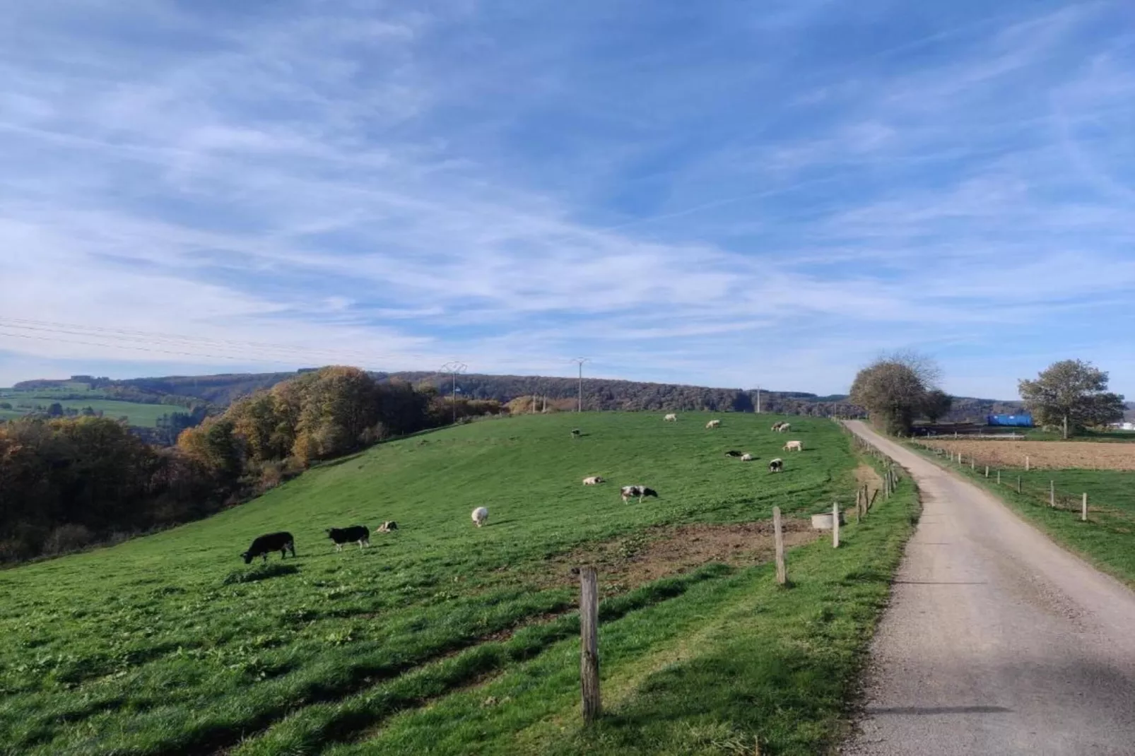 Cha'Laise-Gebieden zomer 20km