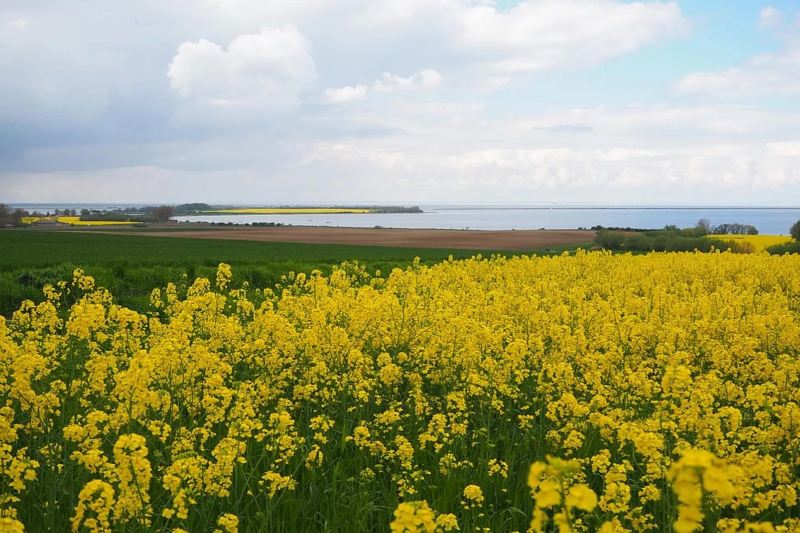 Bungalow Andrea am Salzhaff mit Garten-Gebieden zomer 5km