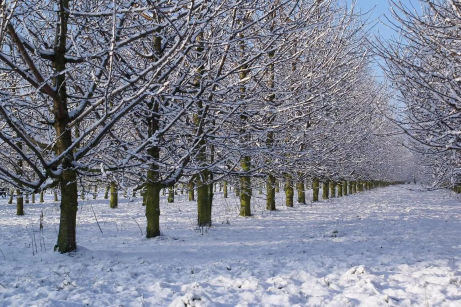Leenhaag-Gebied winter 20km