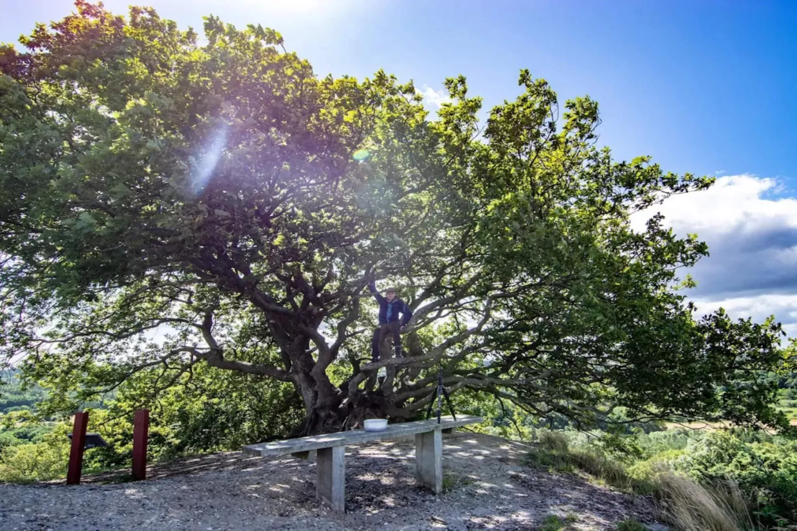 6 persoons vakantie huis in Silkeborg-By Traum-Niet-getagd