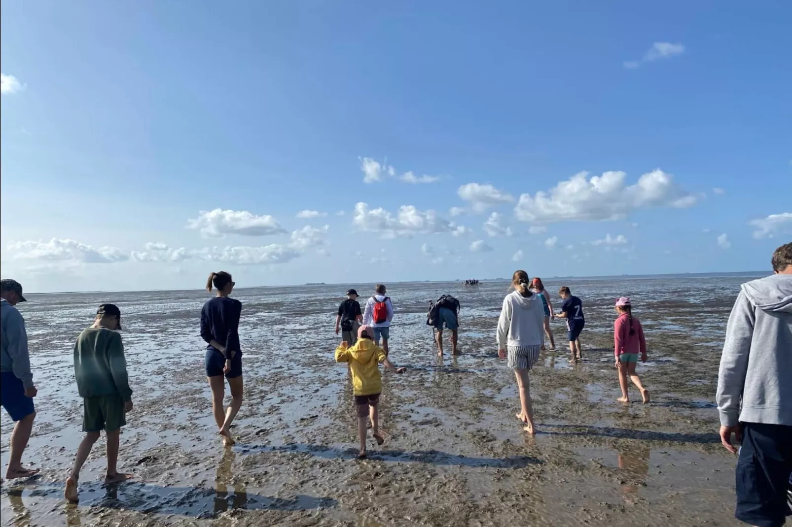 Reihenhaus Basstölpel 4 Personen-Gebieden zomer 5km