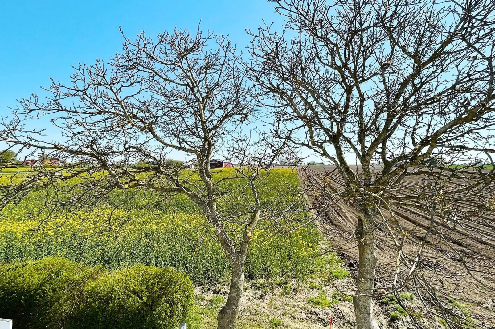 4 sterren vakantie huis in SKIVARP-Buitenlucht