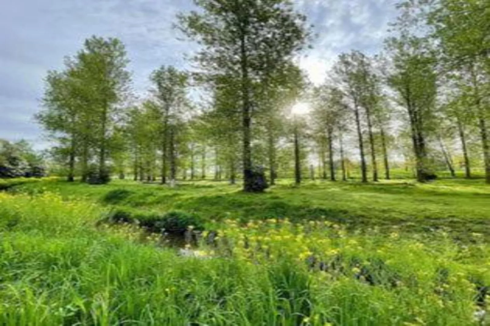 MM Nature-Gebieden zomer 20km
