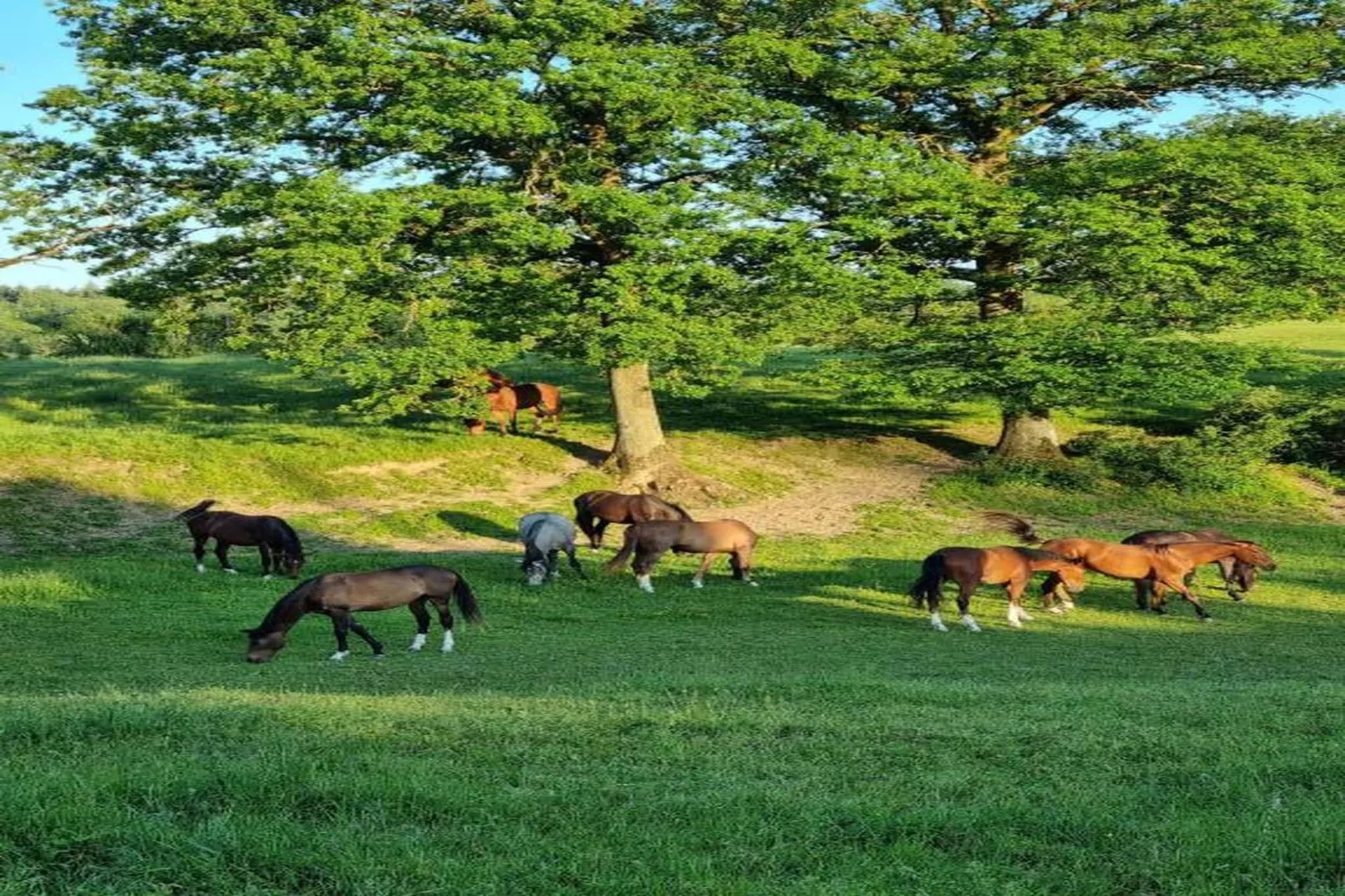 Jardins du Golf A- 4p-Gebieden zomer 20km