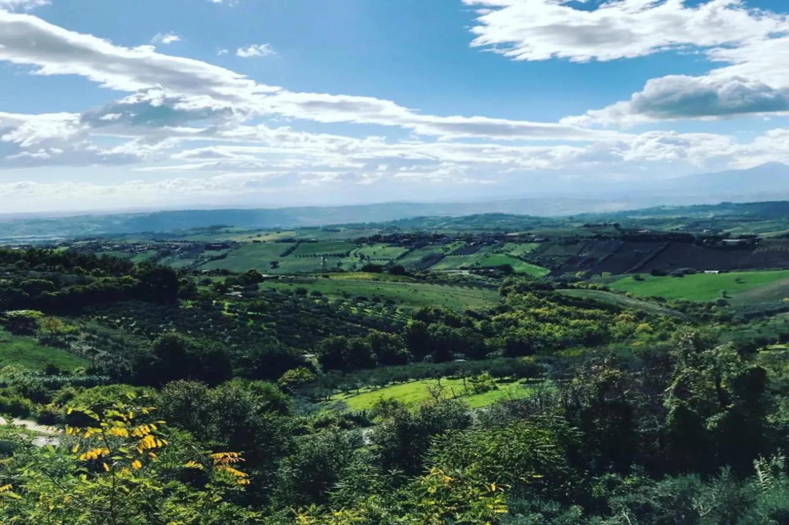 Ortica Studio-Gebieden zomer 5km