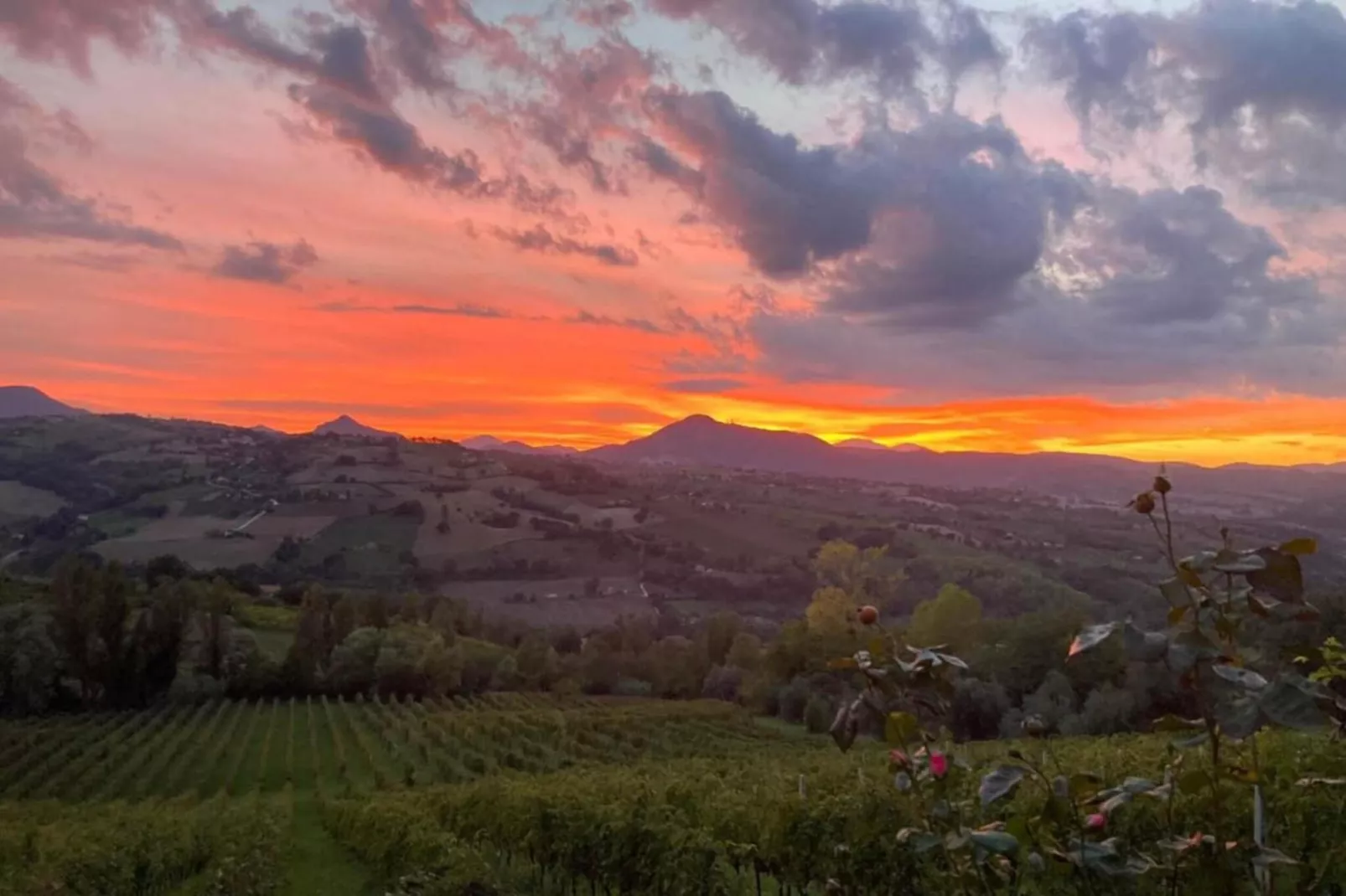 Agriturismo La Torre-Gebieden zomer 20km
